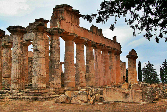 Image de Shahat